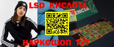 ПСИЛОЦИБИНОВЫЕ ГРИБЫ Кингисепп