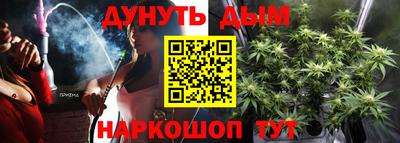 ПСИЛОЦИБИНОВЫЕ ГРИБЫ Кингисепп