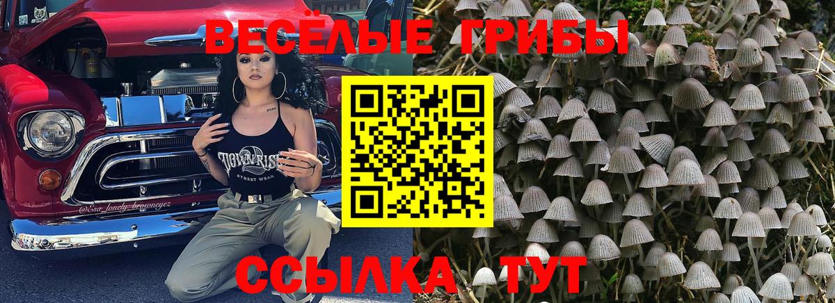 Псилоцибиновые грибы прущие грибы  Вход с VPN  Псилоцибиновые грибы MAGIC MUSHROOMS  Чистополь 