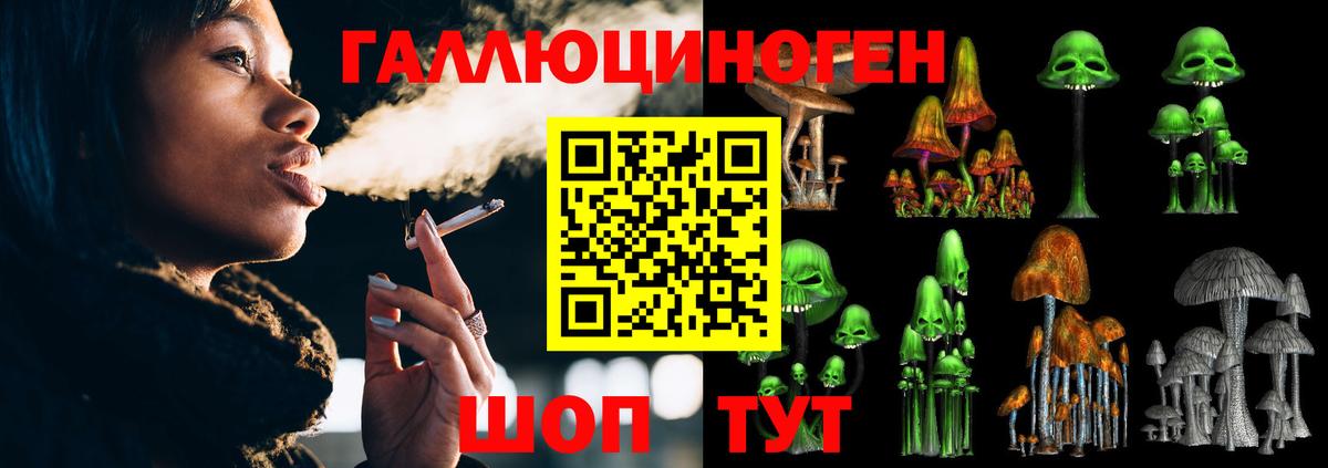 Галлюциногенные грибы прущие грибы Чистополь